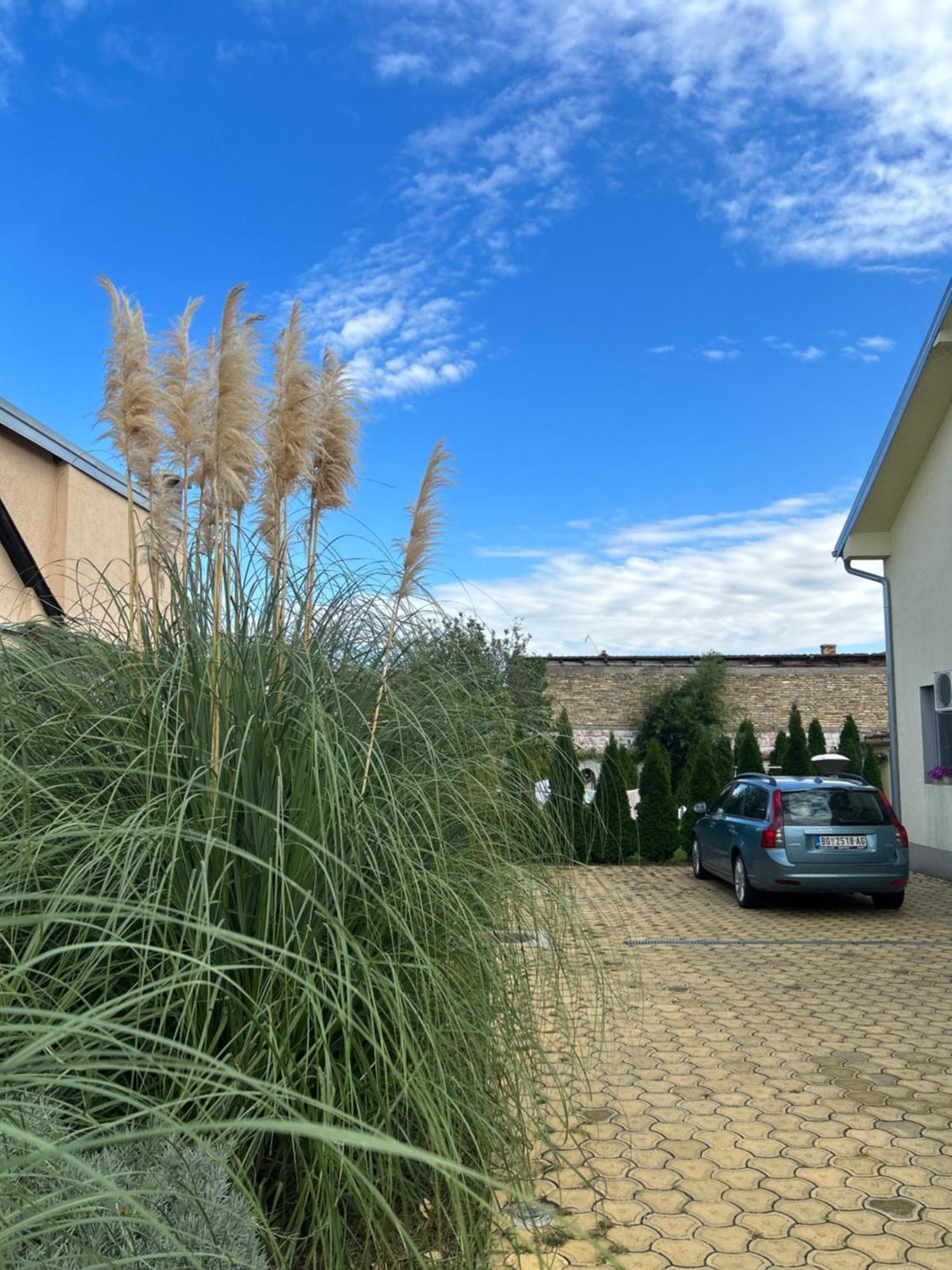 Nest Zen Garden Apartment Novi Sad Exterior photo